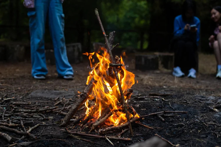 English & Adventure Camp activities 28