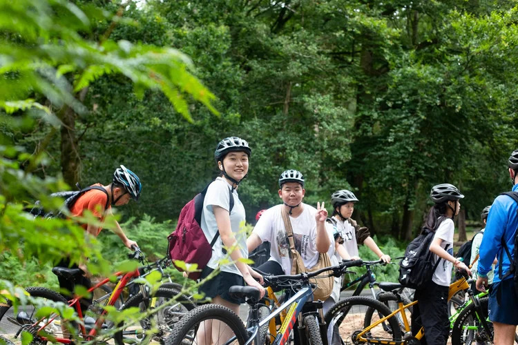 English & Adventure Camp activities 30