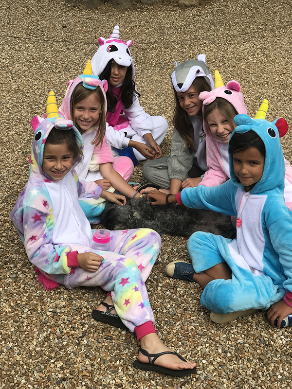 English Country House Camp general 31