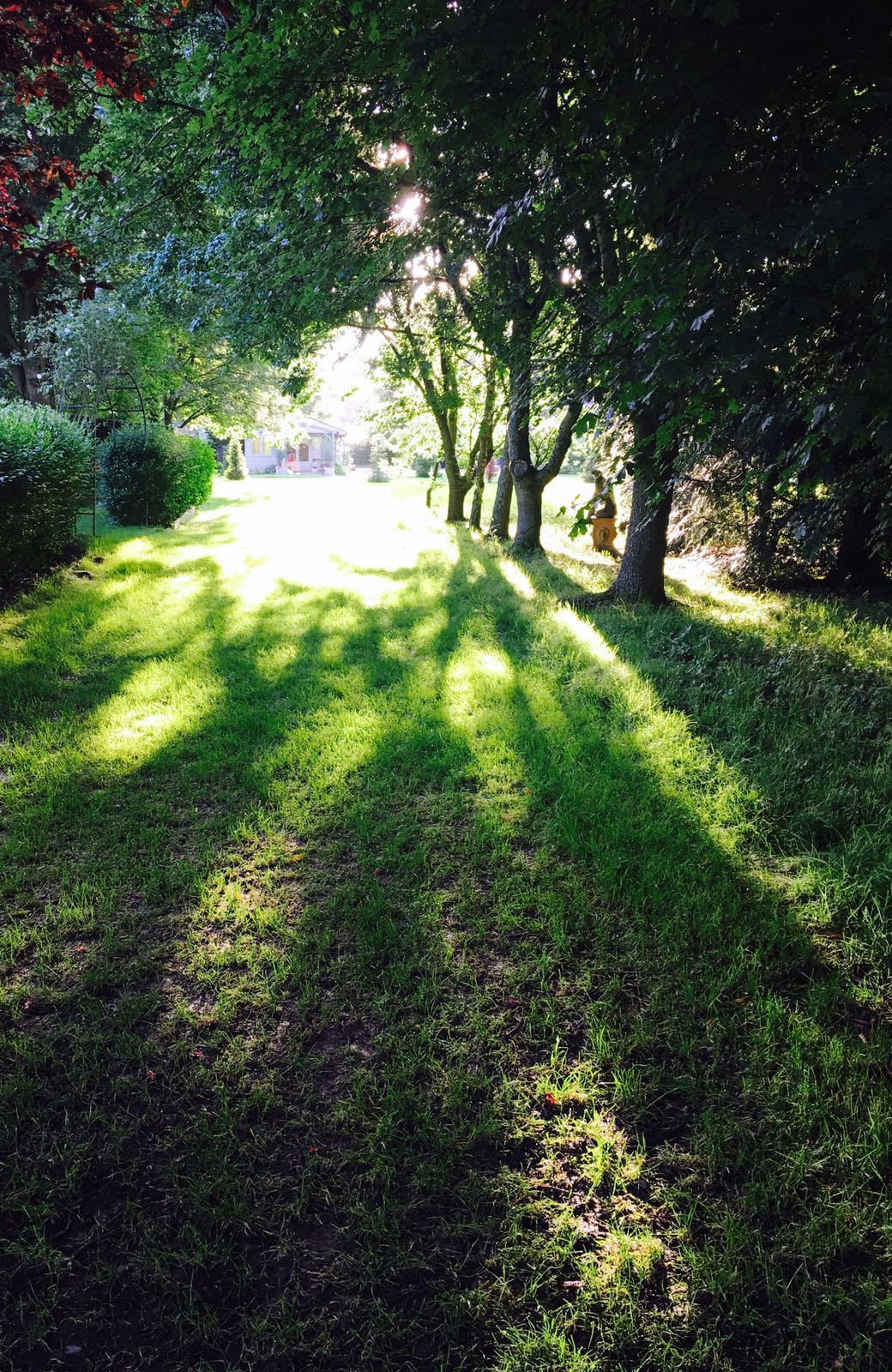 English Country House Camp general 83
