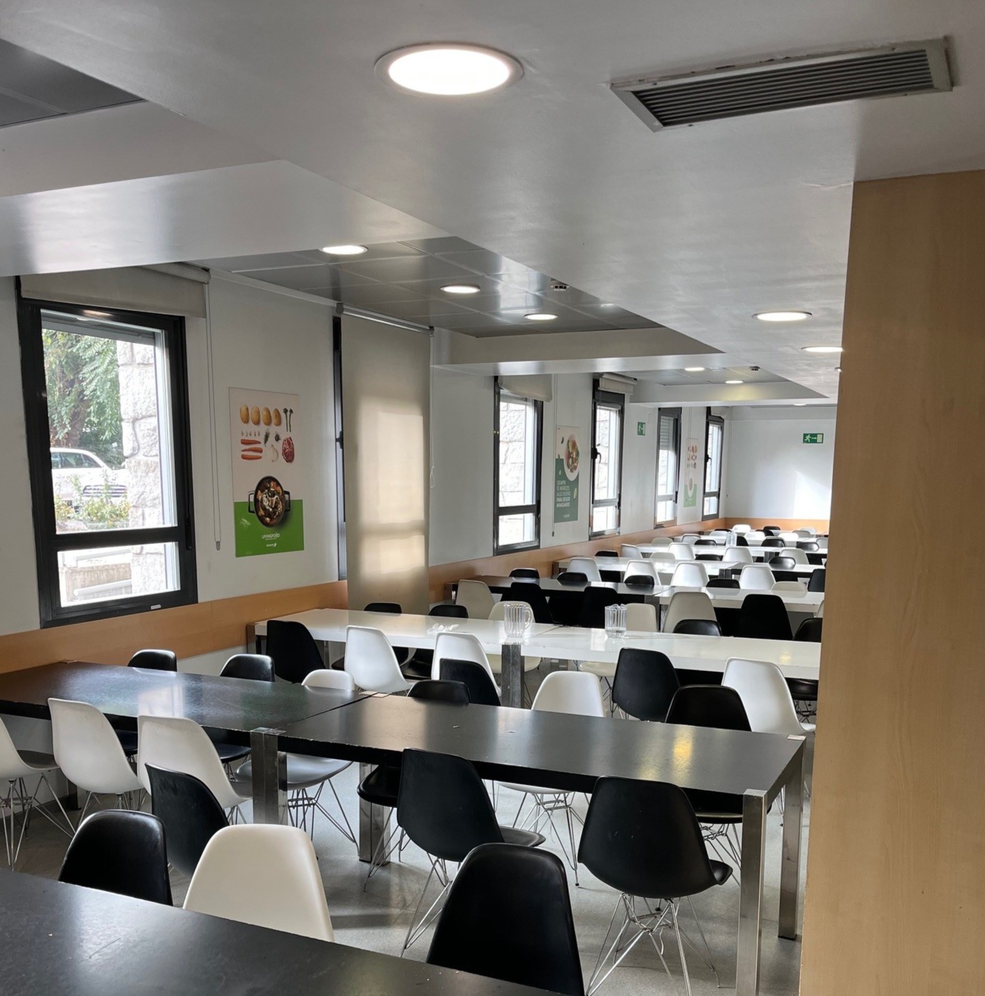 English Summer Camp for Teens at Colegio Mayor Madrid general 9