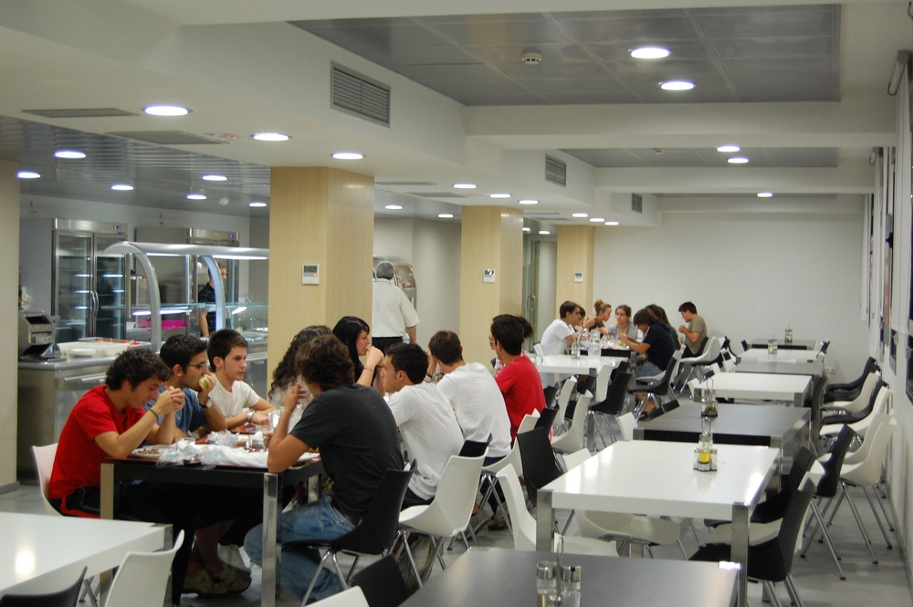 English Summer Camp for Teens at Colegio Mayor Madrid general 10