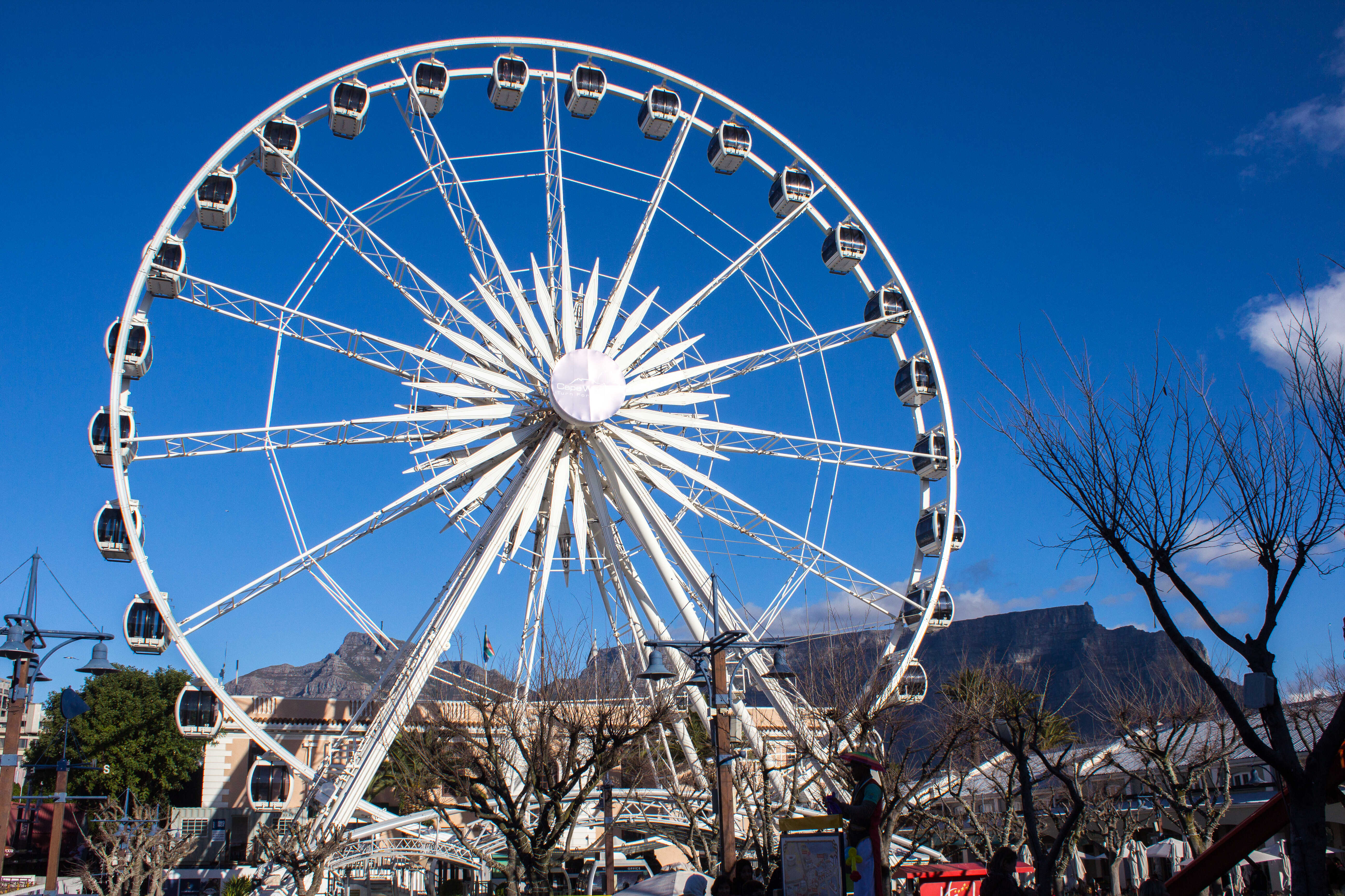 English Summer Camp for Teens at EC Cape Town general 12