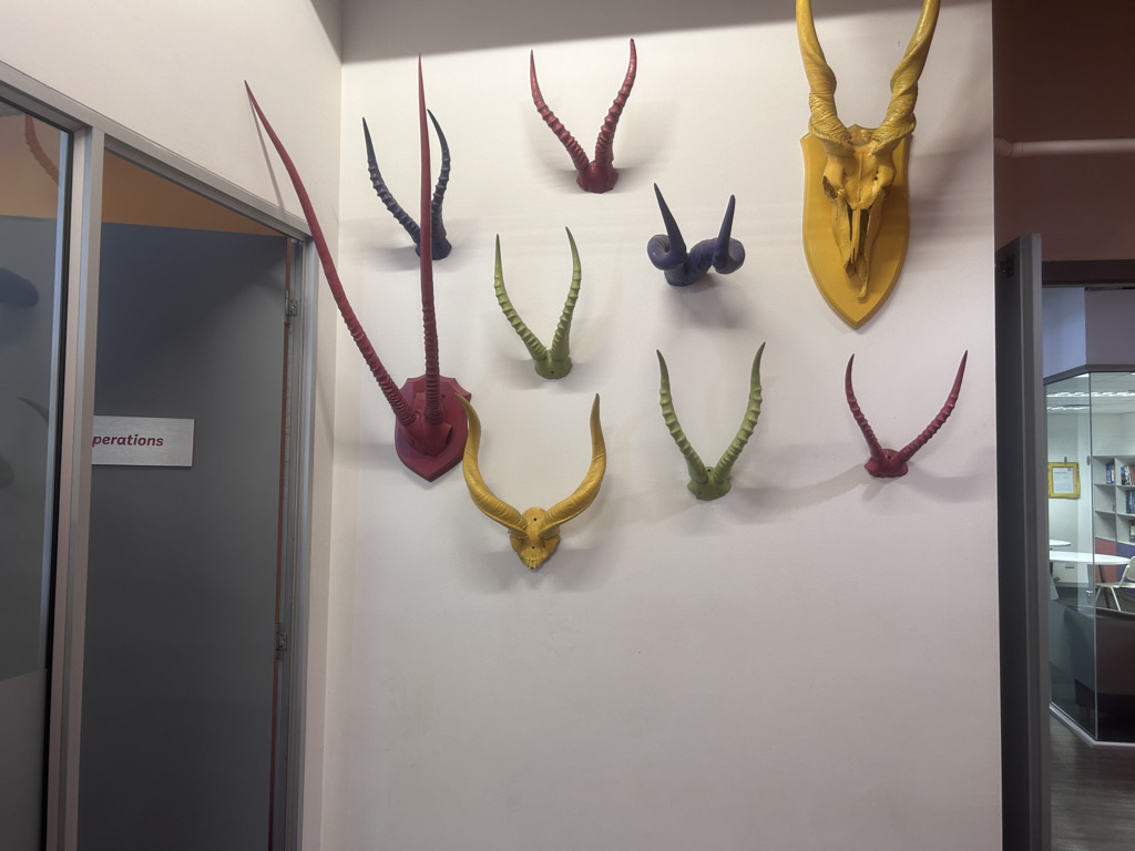 English Summer Camp for Teens at EC Cape Town general 44