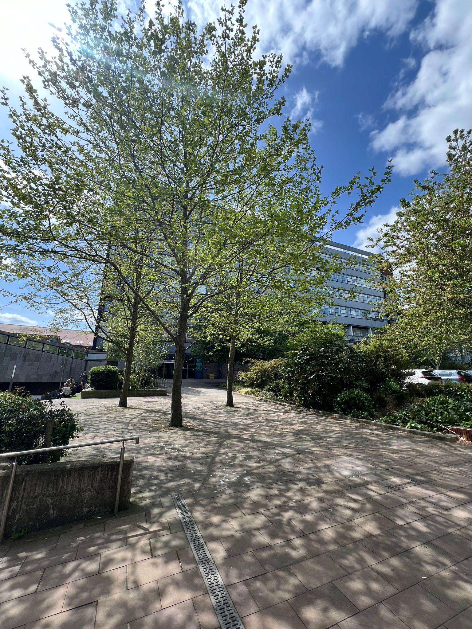 English Summer Camp for Teens at Newcastle University general 11