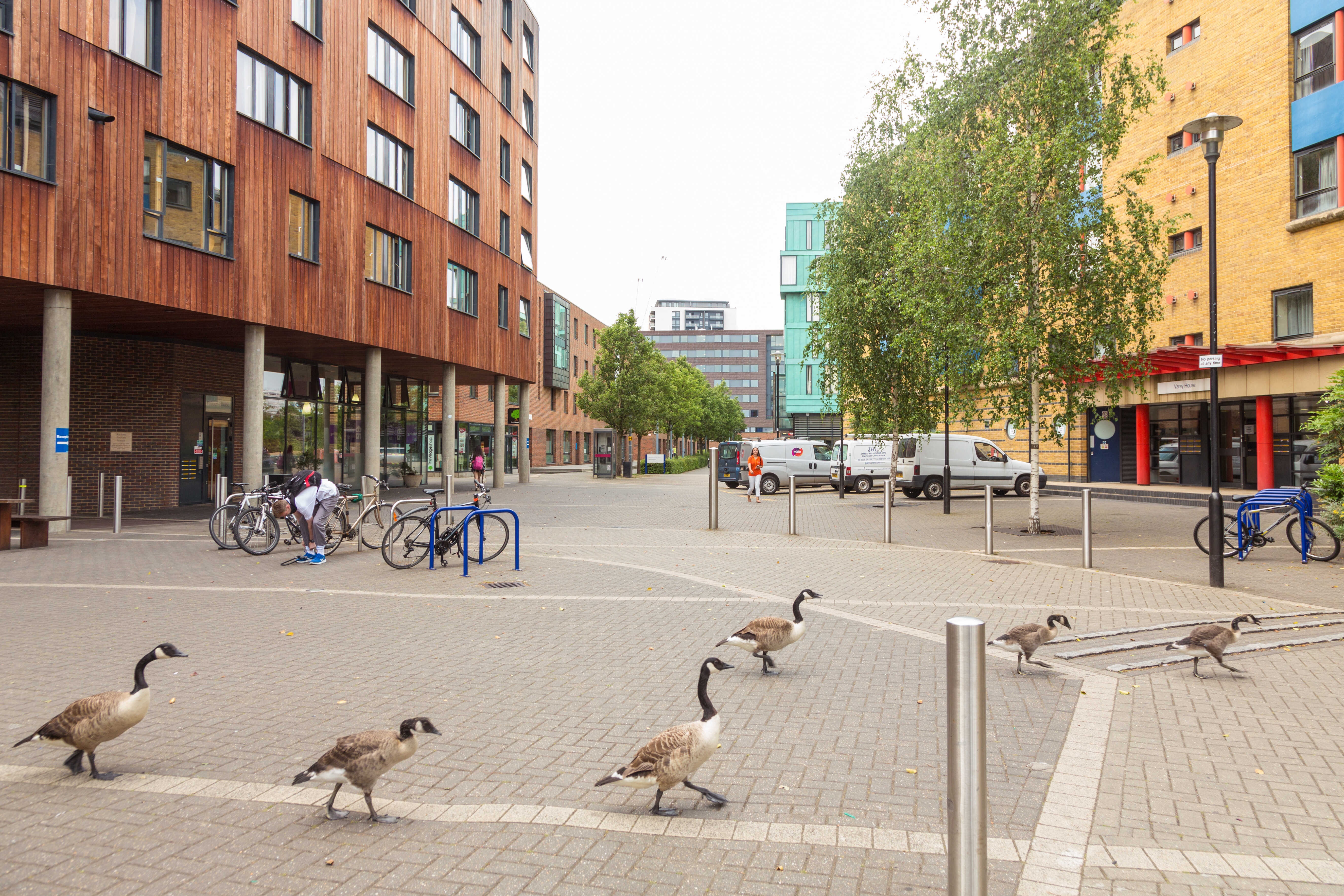 English Summer Camp for Teens at Queen Mary University of London general 19