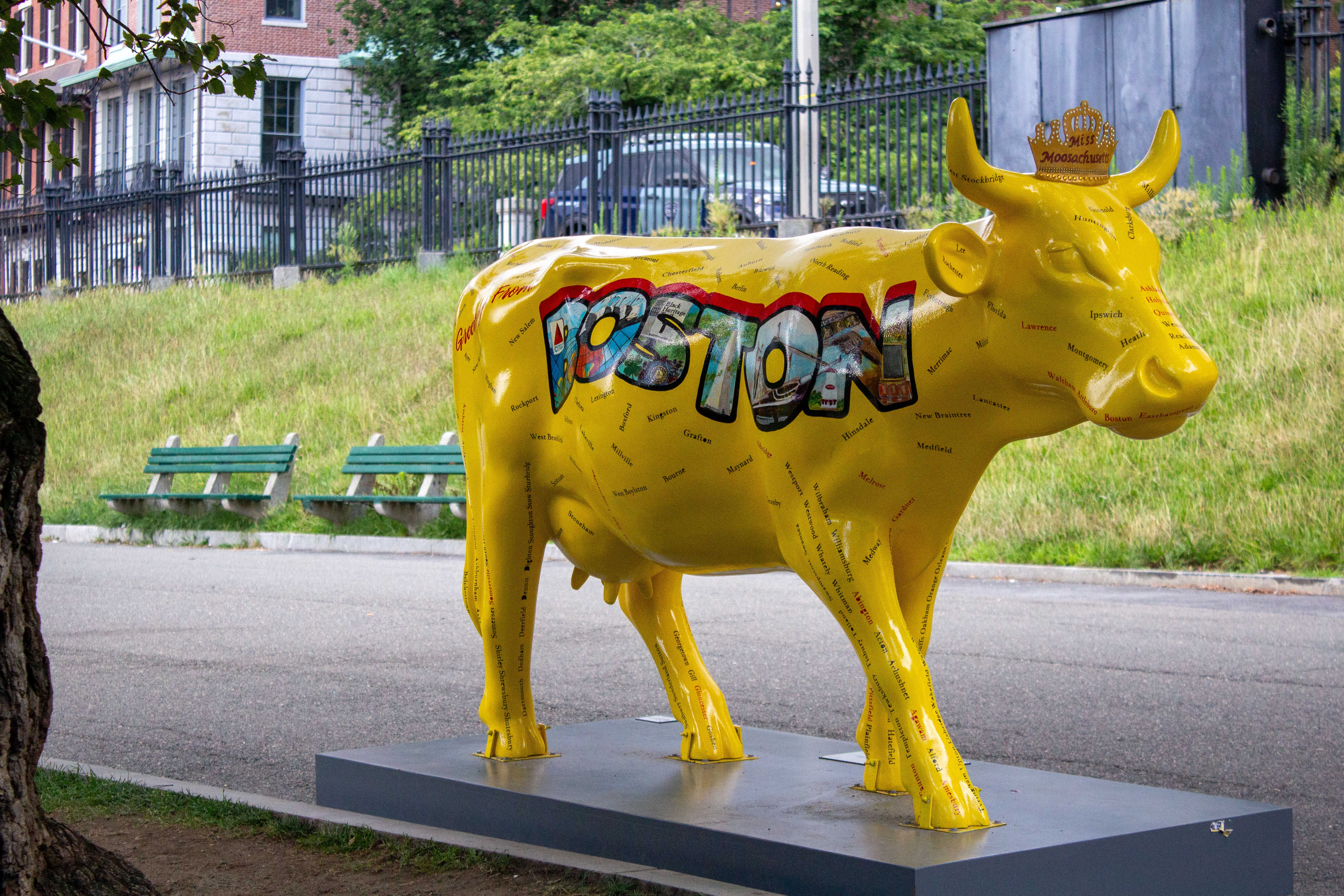 English Summer Camp for Teens at Tufts University general 9