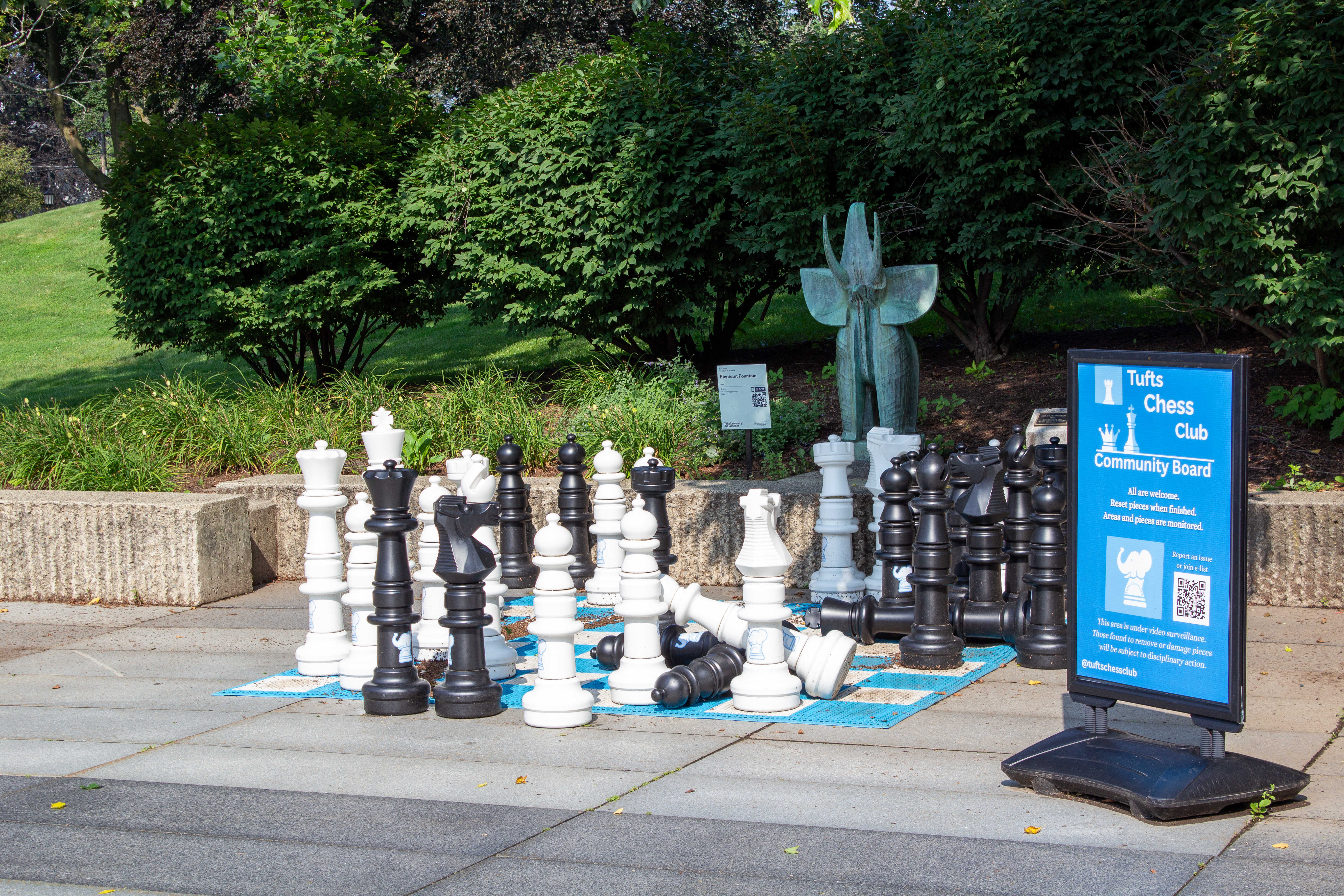 English Summer Camp for Teens at Tufts University general 13
