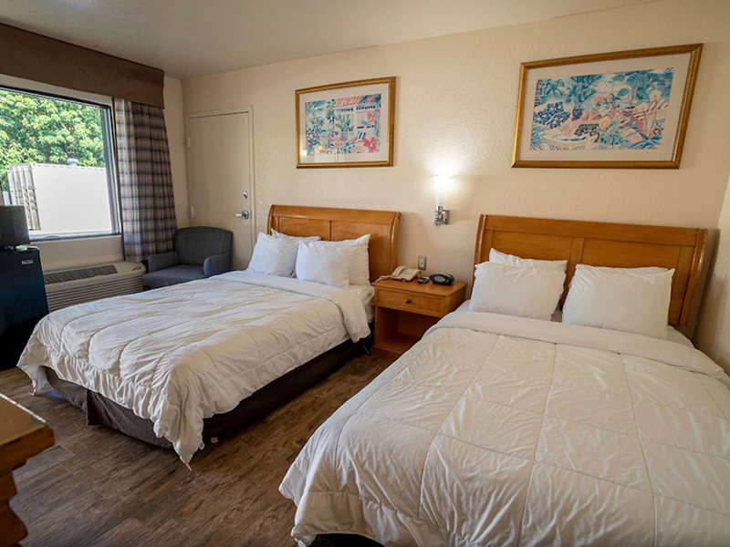 Zigotours Florida Dream Camp - Miami, the Everglades and the Keys general 25