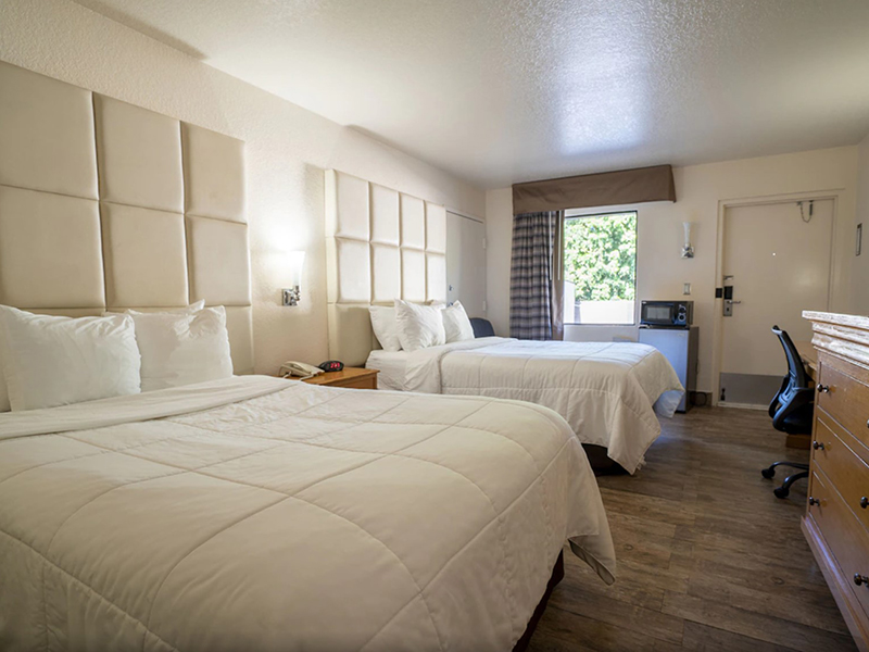 Zigotours Florida Dream Camp - Miami, the Everglades and the Keys general 26
