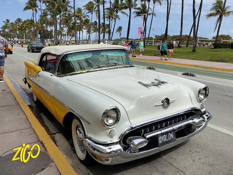 Zigotours Florida Dream Camp - Miami, the Everglades and the Keys general 1