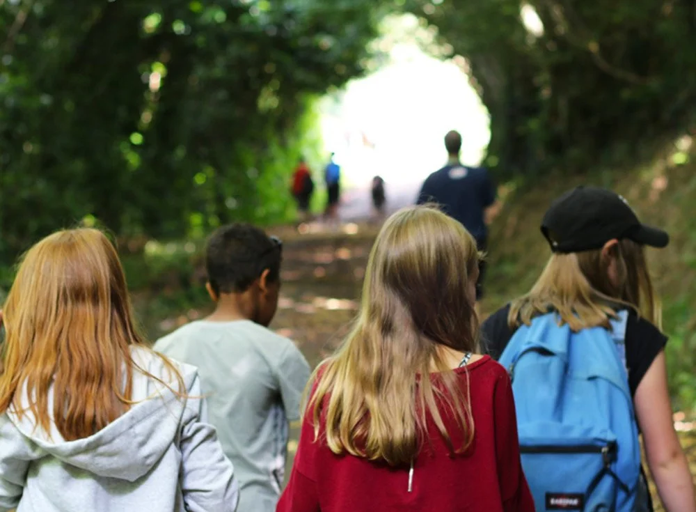 Campers walking together along the tree-lined path at the centre