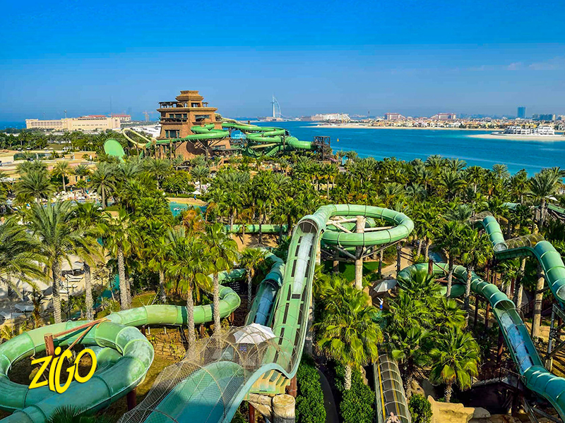 Green and blue water slides winding down through palm trees at the Aquaventure park on the Palm