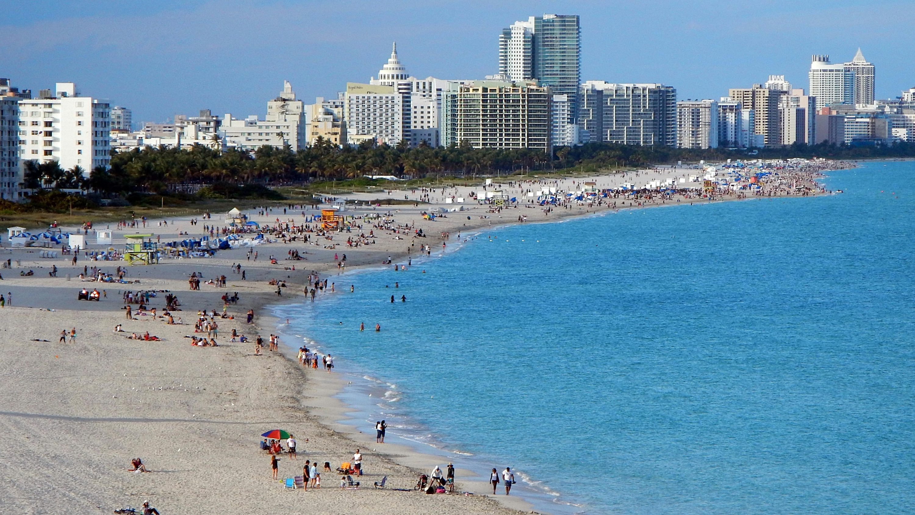 Florida Atlantic University general 6