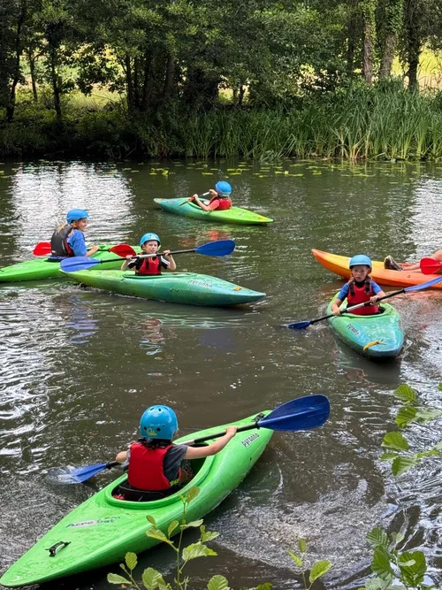 Junior New Forest Camp general 2