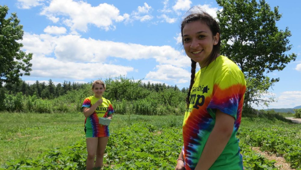 Camp Kingswood general 15