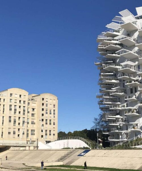 French Summer Camp for Teens in Montpellier general 6