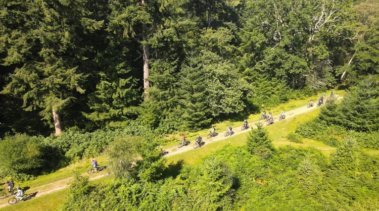 New Forest Adventure Camp (Adventure Only Camp) activities 22