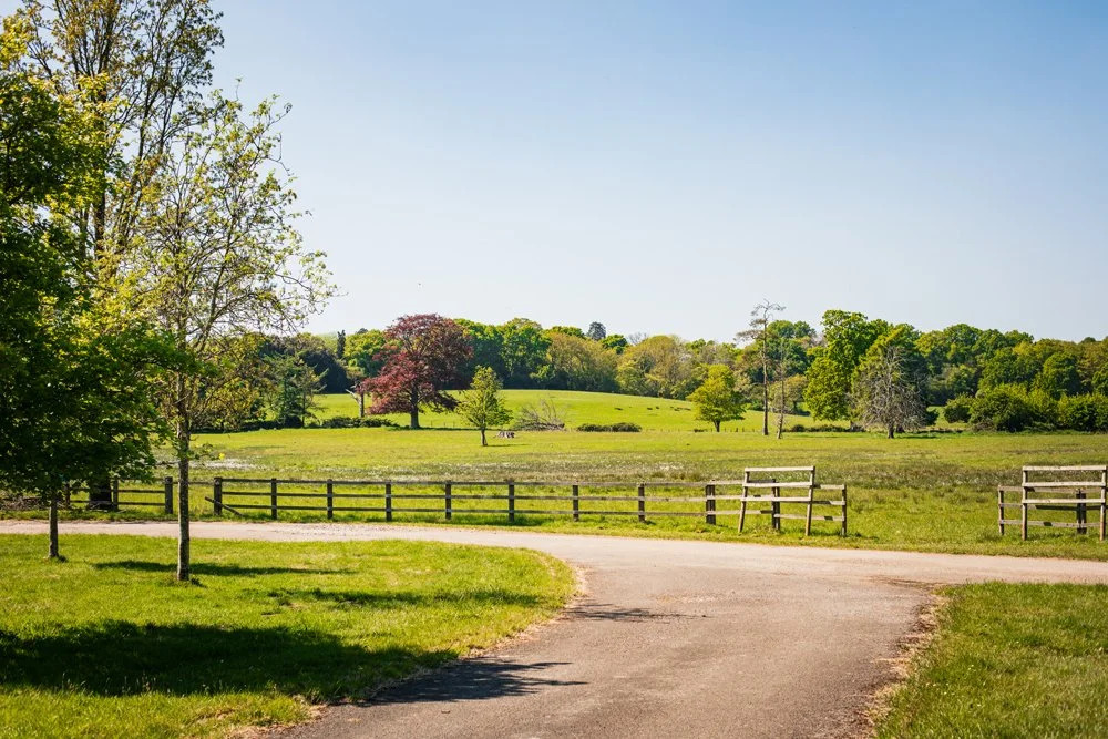 New Forest Adventure Camp (Adventure Only Camp) general 8