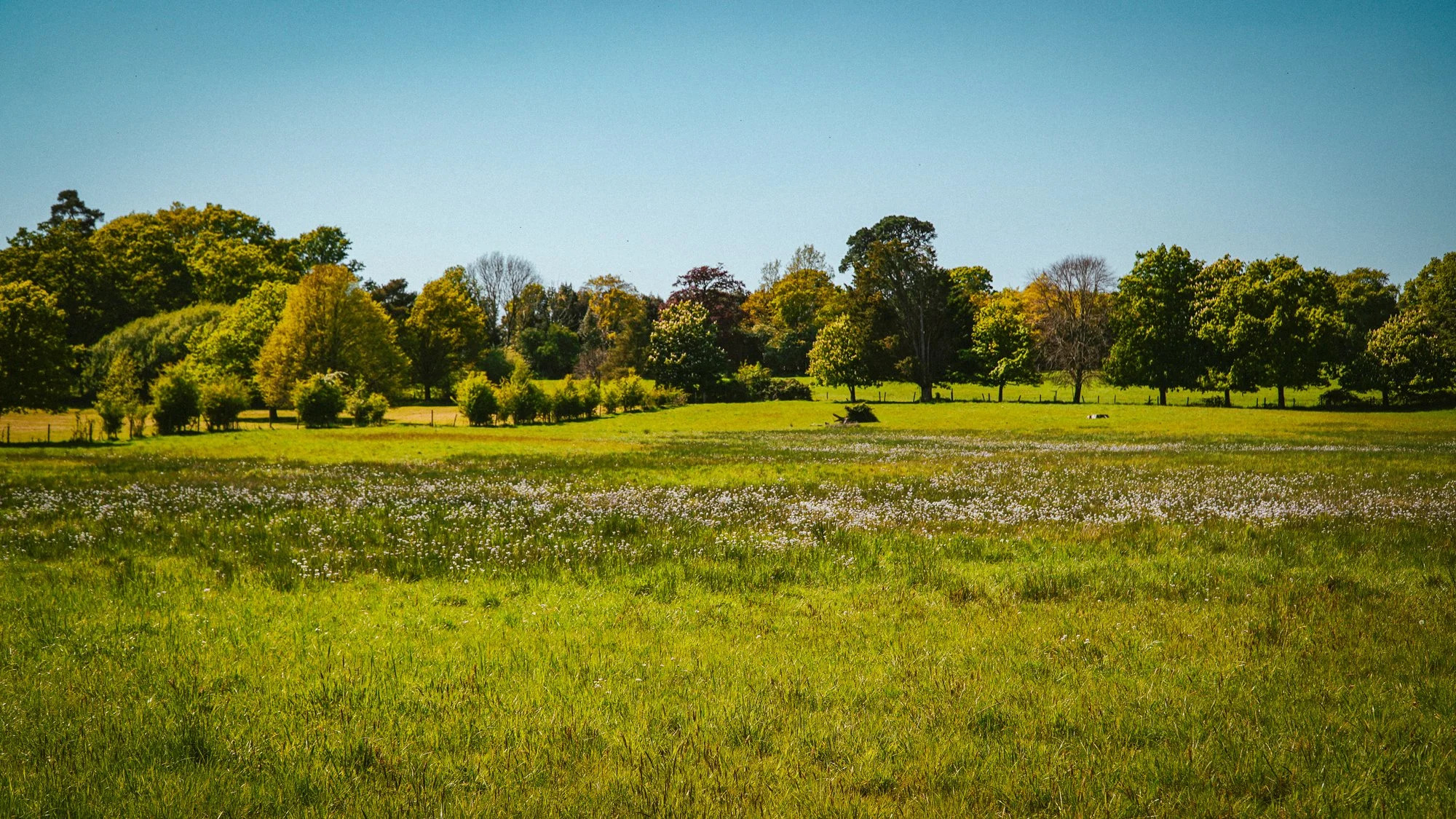 New Forest Adventure Camp (Adventure Only Camp) general 9