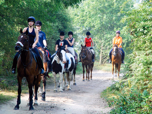 Oundle Summer Camp general 49