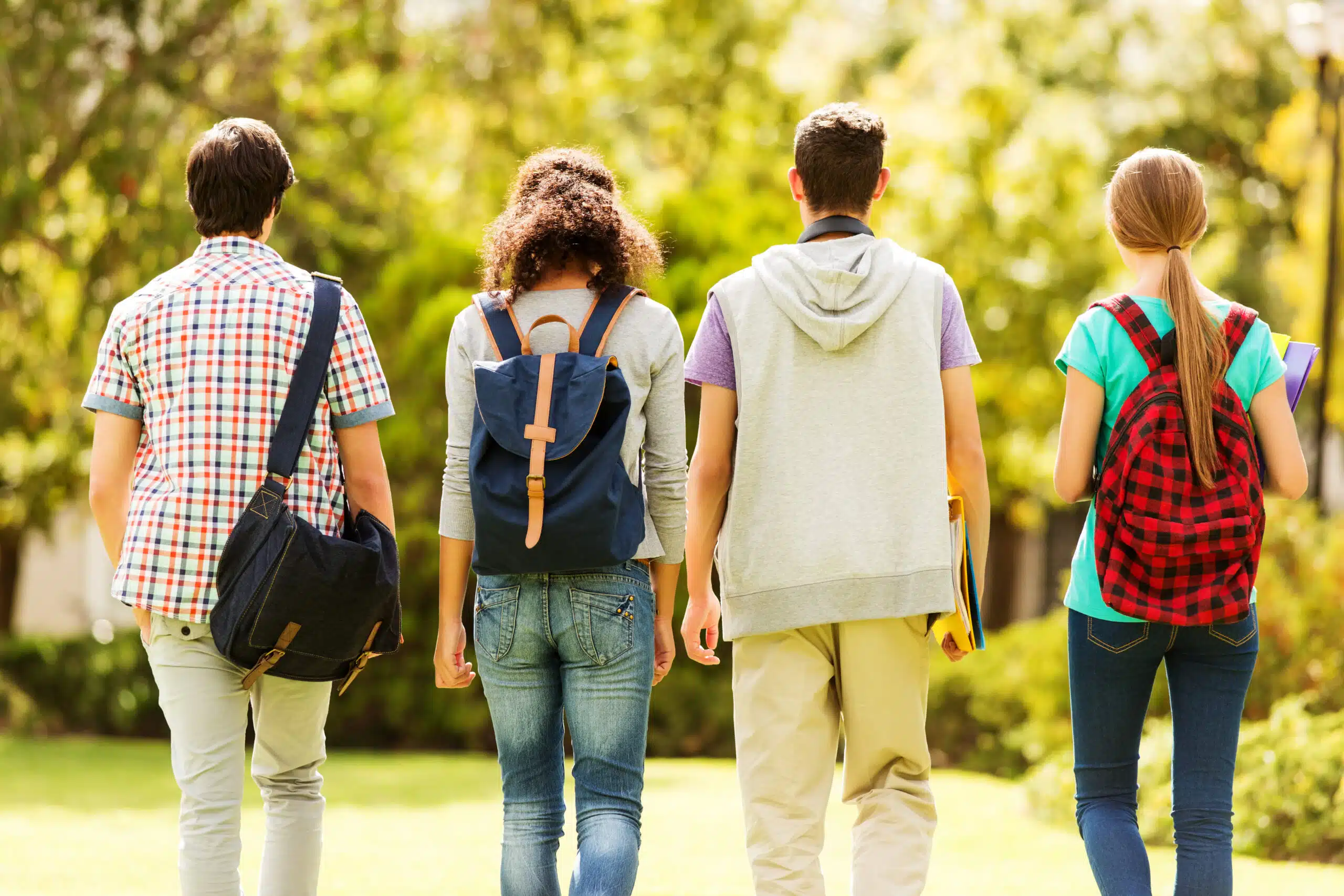Sapphire Education Summer Courses general 1