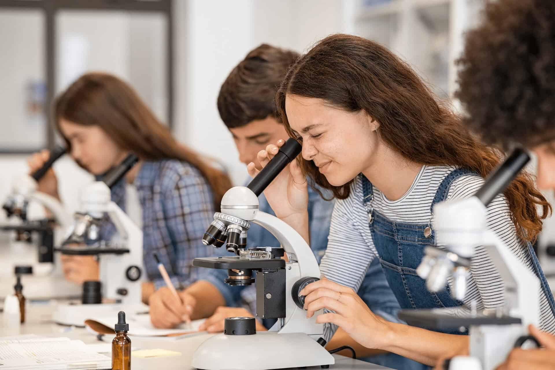 Sapphire Education Summer Courses general 16