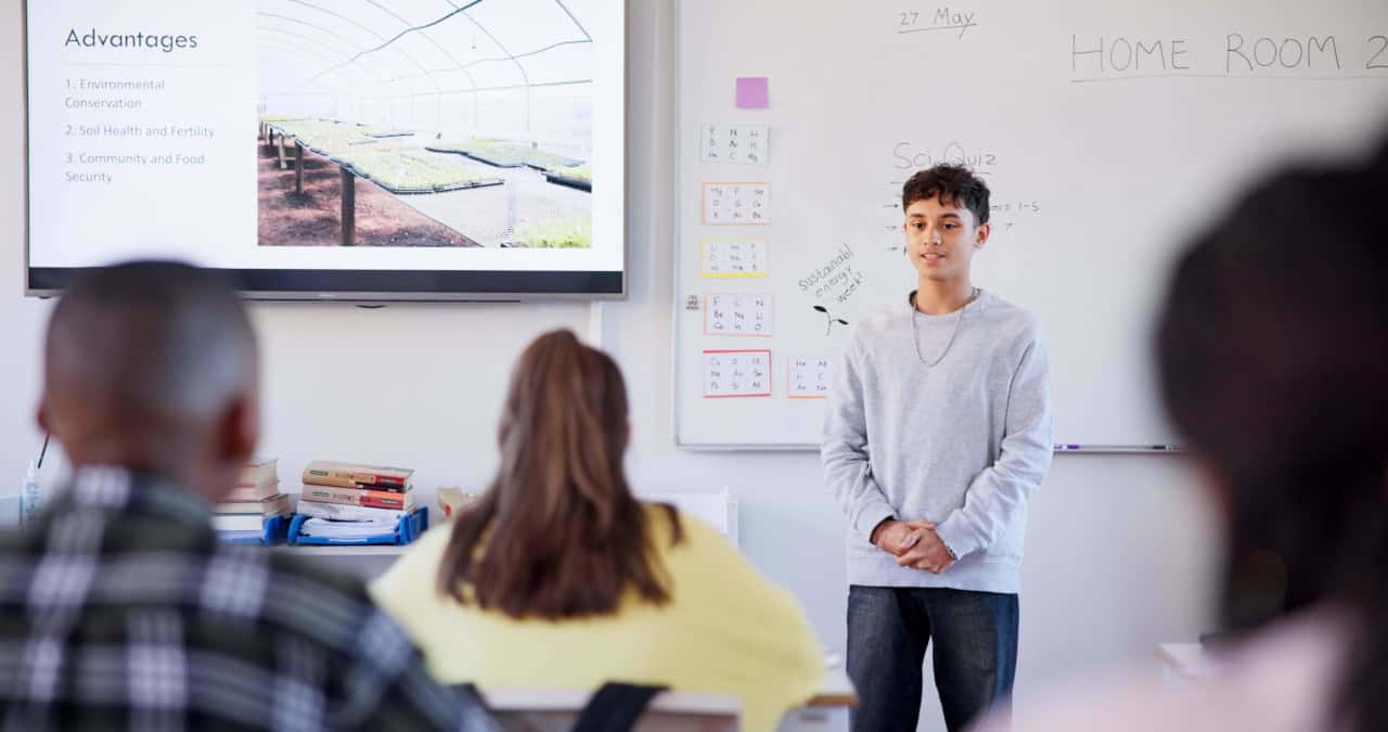 Sapphire Education Summer Courses general 28