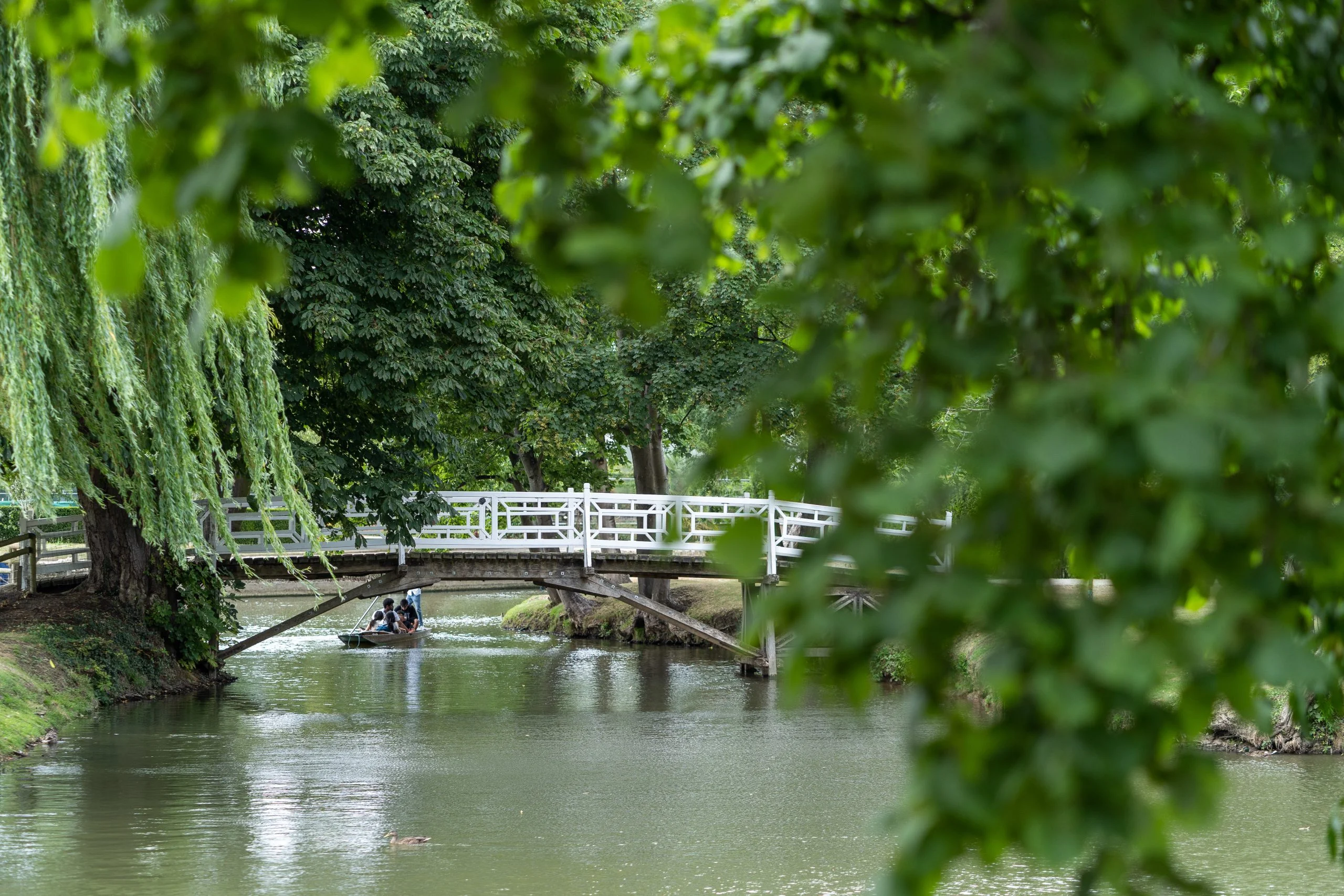 Summer Courses at St Hilda's College Oxford general 28