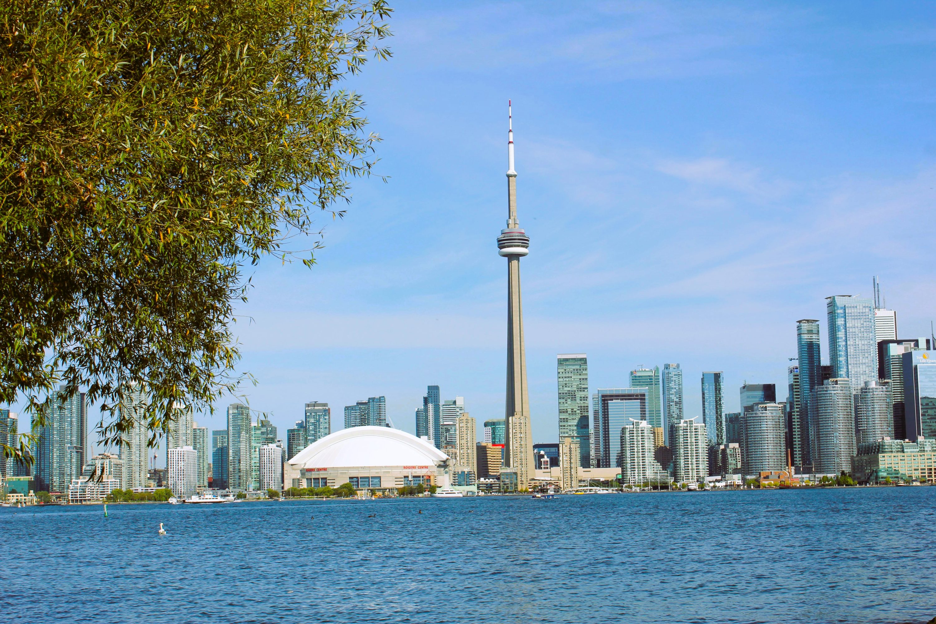 Toronto Metropolitan University
