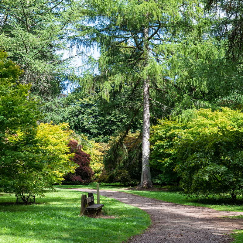 Westonbirt Summer School general 22